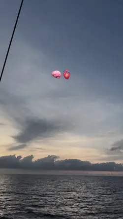 kalau tidak bruntung