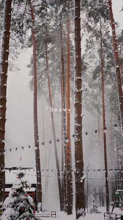 snowy