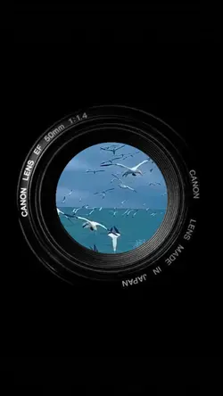 1 clip in lense