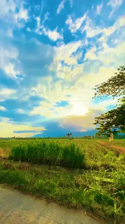 Hiling Fikter HD