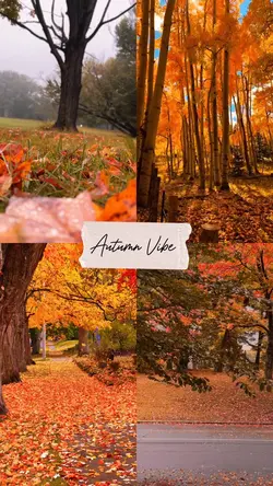 Autumn Vibe