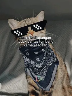 bahan sw