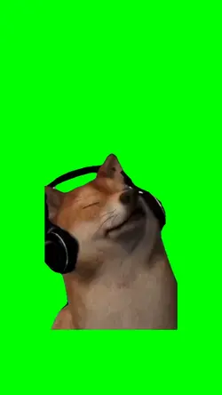 Shiba Inu Singing