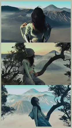 3 pics photogird