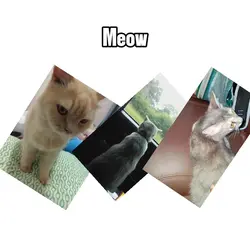 Meow