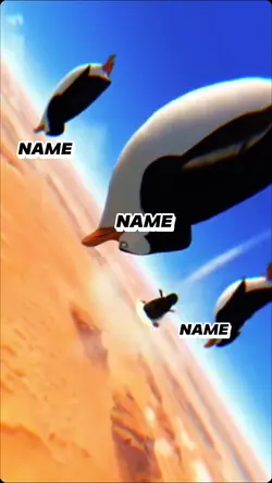 Trend pinguin viral