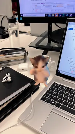 KICAU MANIA 1 FOTO