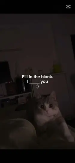 fill in the blank
