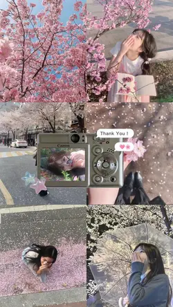 桜シーズン コラージュ