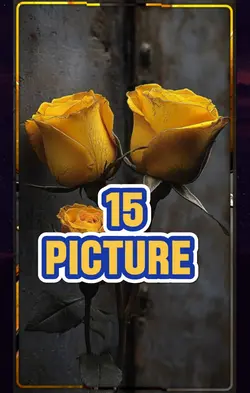 15 picture roses 