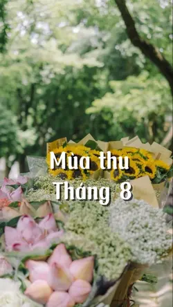 Mẫu mùa thu tháng 8