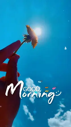 Good morning 