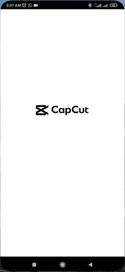 capcupt urdu 