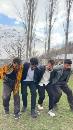 Halay şablonu