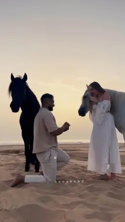 Amazing proposal 