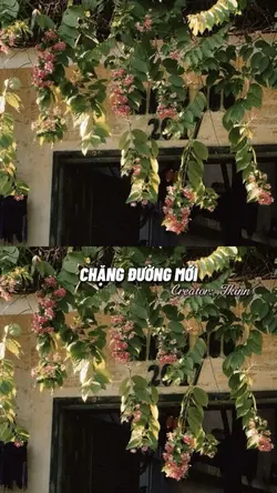 2 Ảnh Nhẹ Nhàng