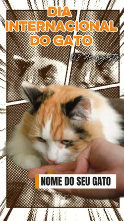 Dia do gato