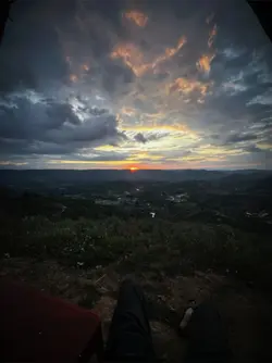 Có cánh hoa nào kh t