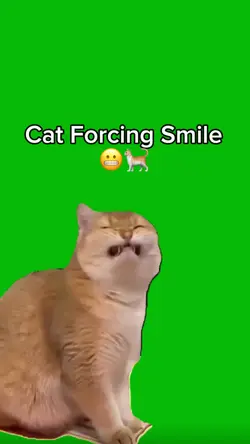 Cat Forcing Smile
