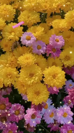អរគុណអូន