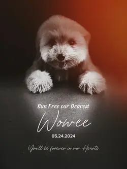 see you again love 🐾