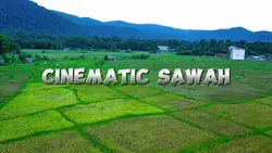 cinematic sawah