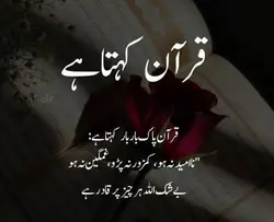 mera mola tari rehmt