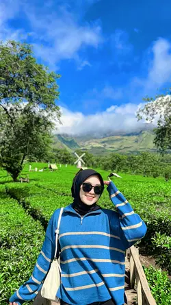 FILTER HD