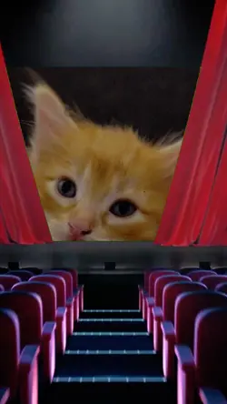 Pantalla de cine 