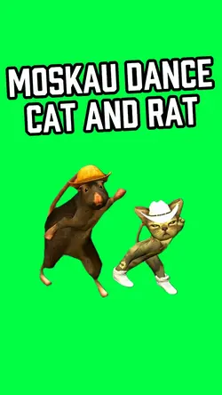 MOSKAU CAT RAT DANCE