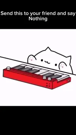 Cat on keyboard 🎹 