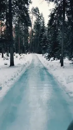 Ice Skating