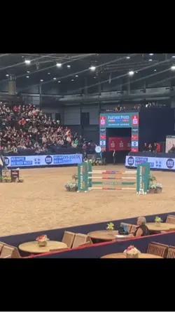 Springreiten Slowmo 