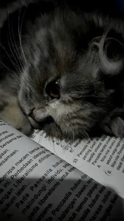 kata kata