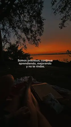 Somos procesos…