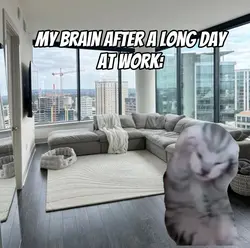 my brain after work