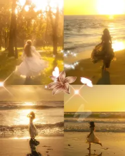 Fairy
