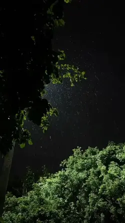 1 Video/Foto slow