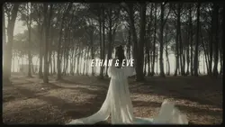 Wedding / Prewedding