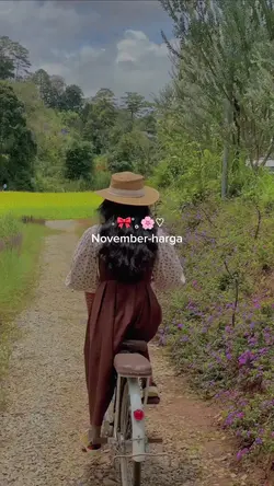November-harga