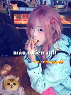 14 ảnh