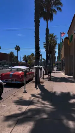 minivlog