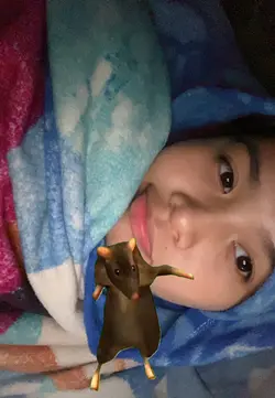 tikus joget