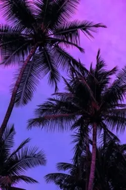 Summer effects 
