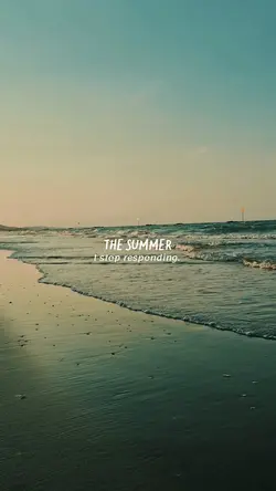 The summer 