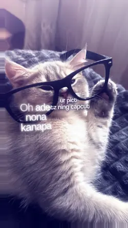JJ 2FOTO GONTA GANTI