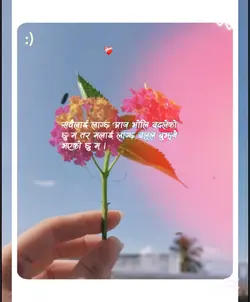 बल्ल बुझ्ने भएको छु