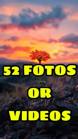 52 Fotos Or Videos 