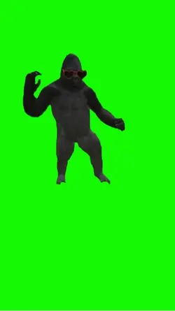 Dancing Gorila Meme