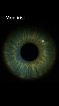notre iris>>